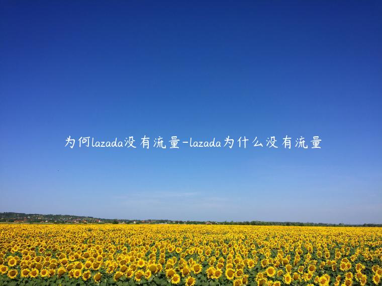 為何lazada沒有流量-lazada為什么沒有流量